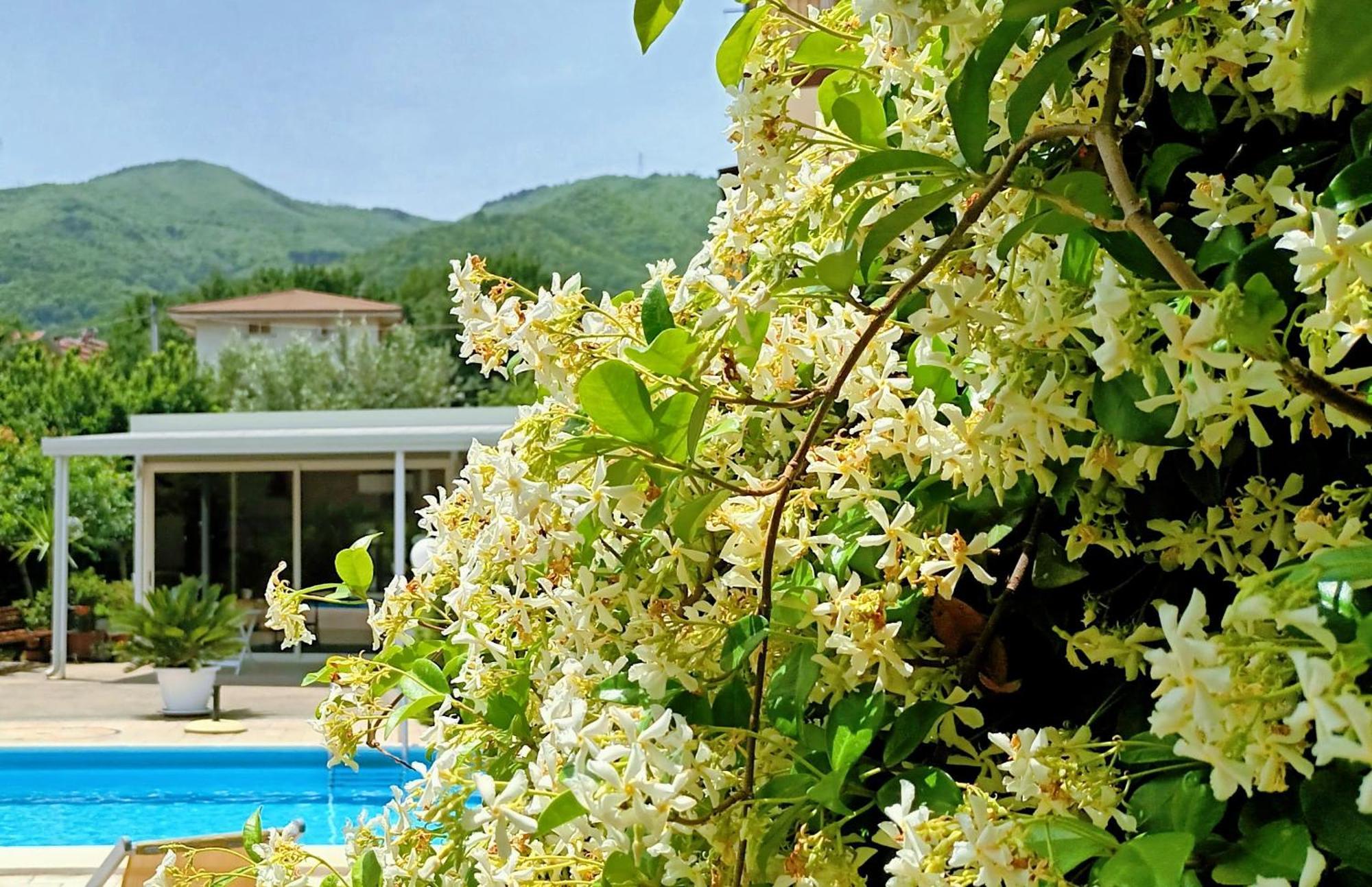 Bed and Breakfast La Residenza Del Marchesato Marano Marchesato Exterior foto